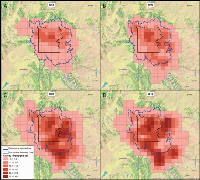 Grizzly bear population density in the Yellowstone National Park (U.S)